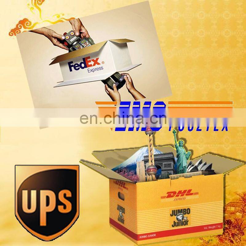 AE Organism Electric 3D NLS Body Health Analyzer Non Linear Diagnostic System