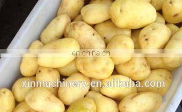 Manufacturing of commercial potato chips making frying equipment