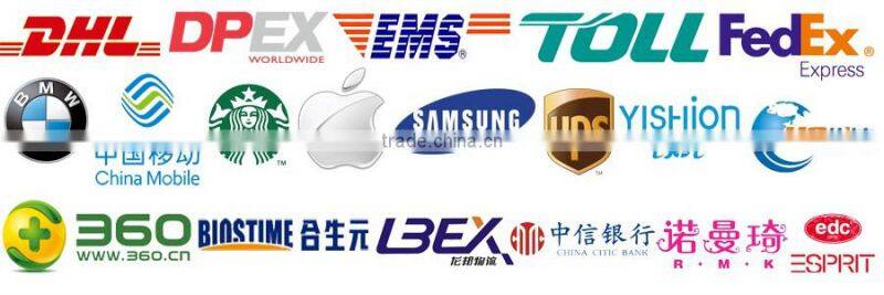 Plastic Zip Lock Packaging bag Plastic Bag for Fish Food