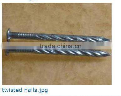 top selling twisted nails factory in China