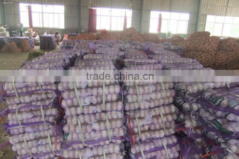 Jinxiang Garlic Normal White Fresh Garlic New Crop