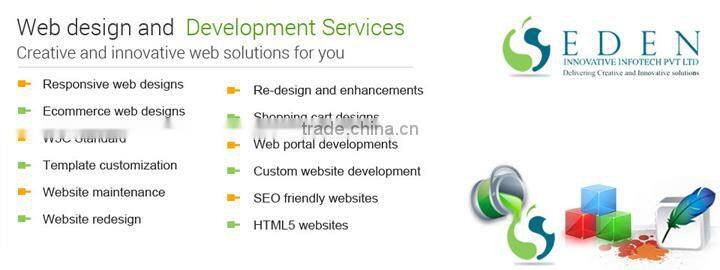 customized software development