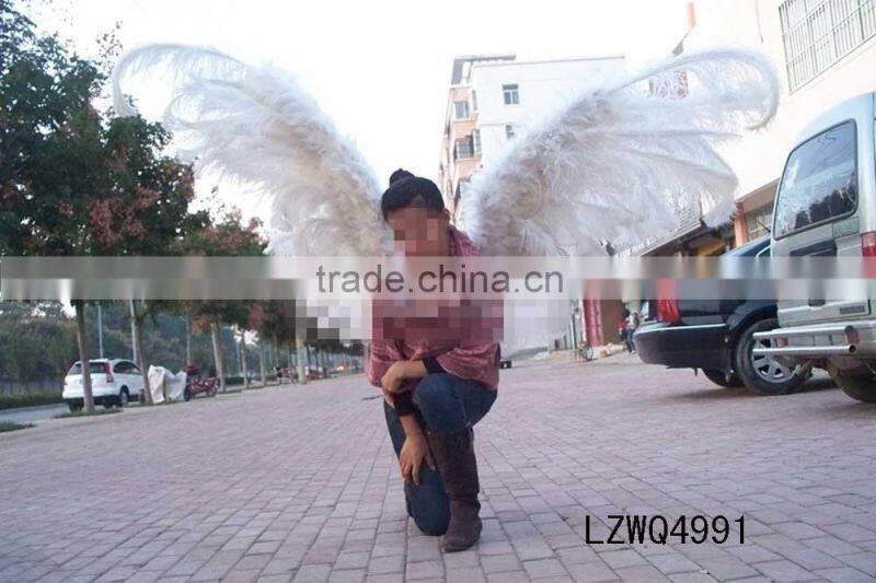 Costume Dance Feather Angel Wing LZWQ5017