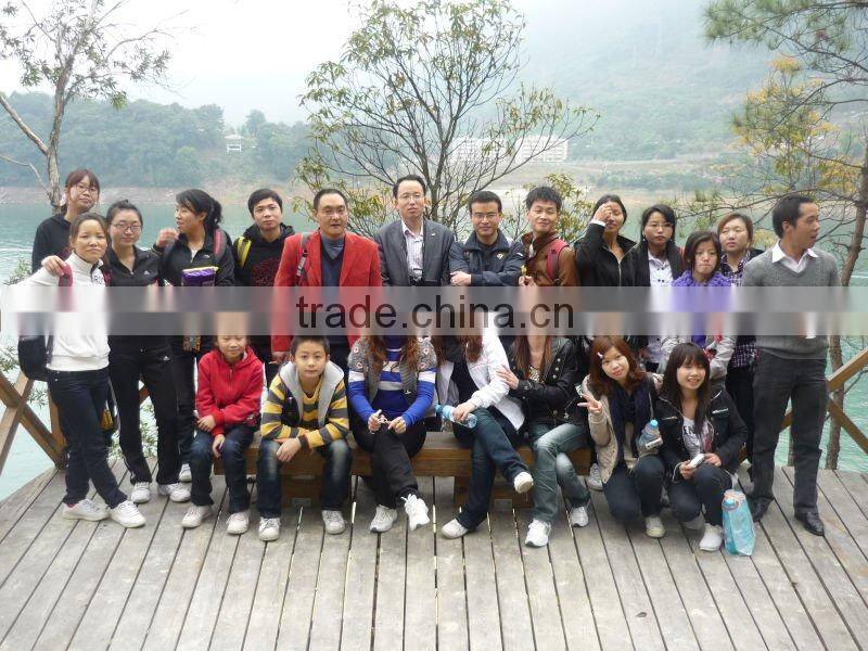 Die cut sticky note pad with magnetic board(OEM)