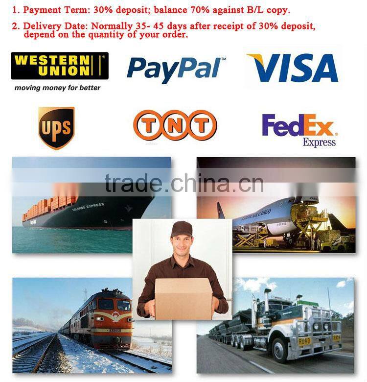 quanzhou wholesale gym body building equipment