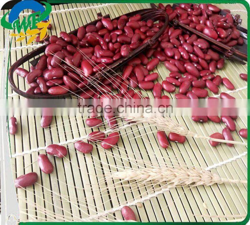new Crop Dark Red Kidney Beans