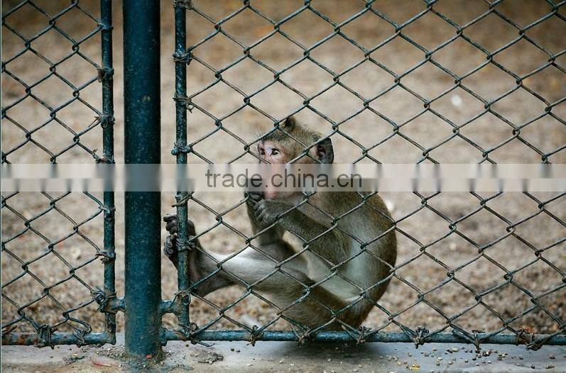 chain link fence extensions