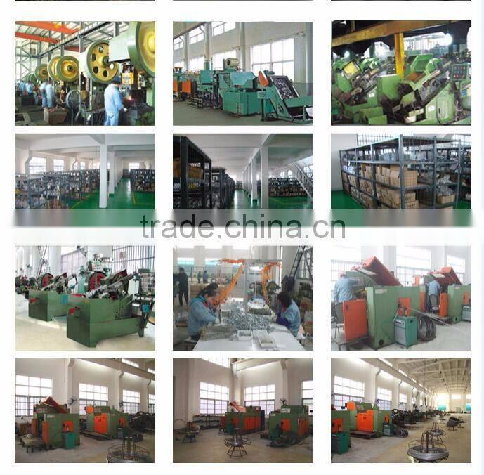 Non-standard Stainless Steel T Shape Screws