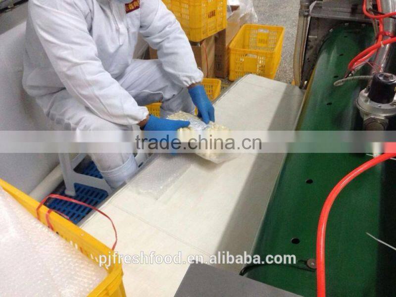 Fresh peeled garlic 5lbx6bg/carton