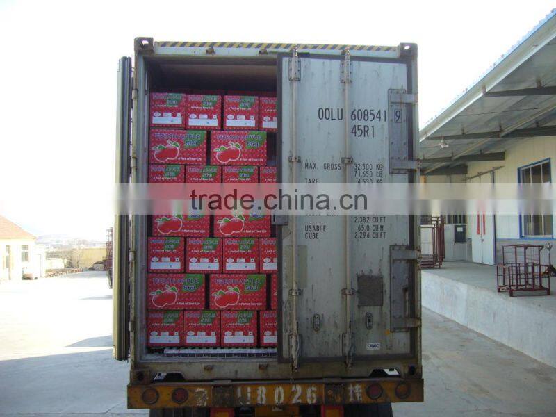 Fresh Fuji Apple Supplier in China