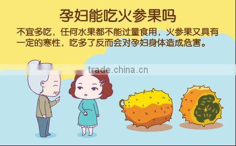 Kewana seeds Jelly Melon Seeds The horned Melon For Growing