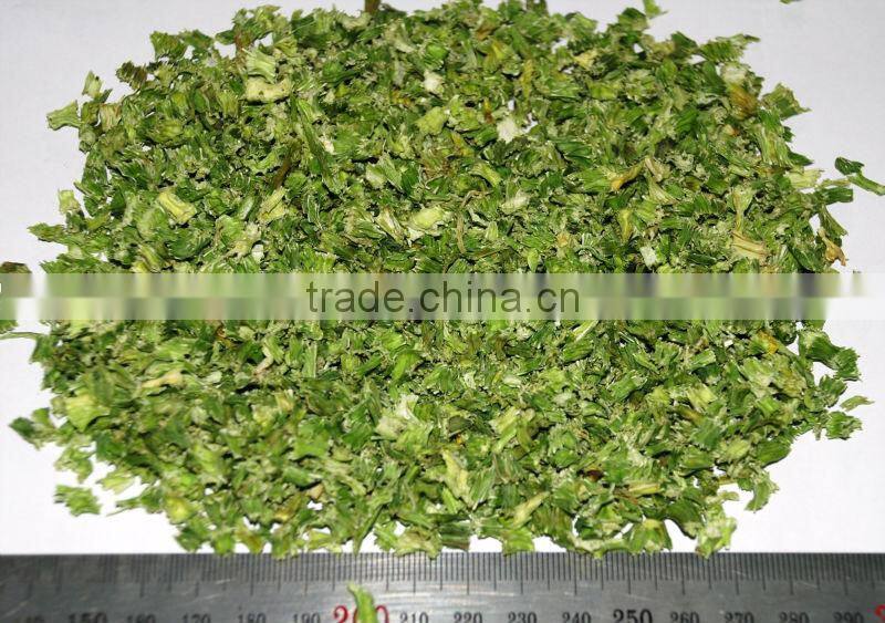 2014 dehydrated celery leave