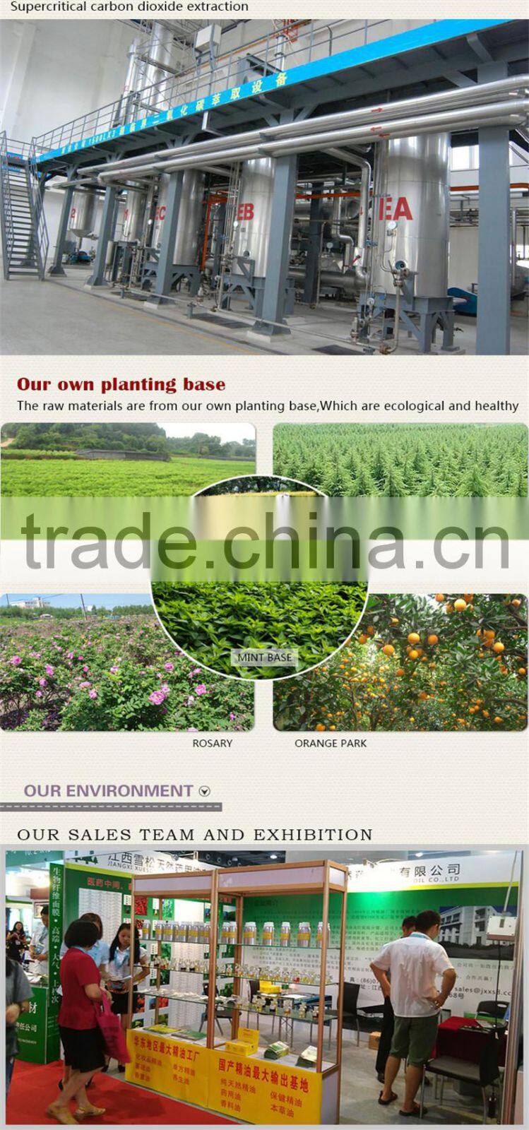 100% pure wheat germ oil for cosmetic oil