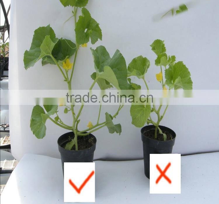 90%min Water soluble humic acid