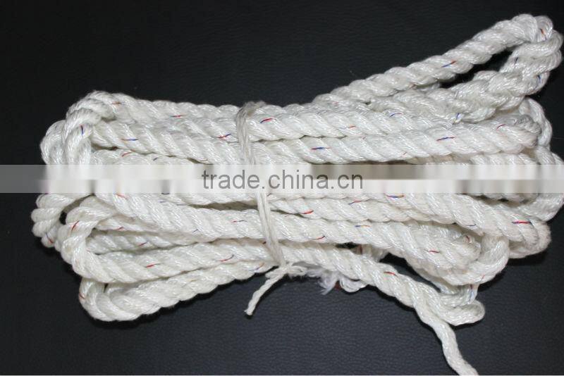 High-strength polyester rope with loop