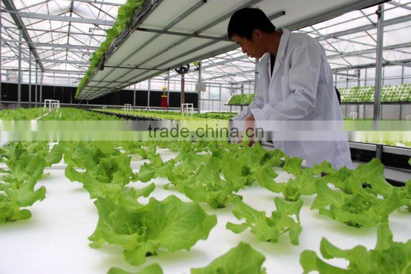 Multi Functional Vegetable Greenhouse Covered By Plastic Polythene Film