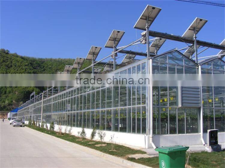 High tech greenhouse with heating solar system