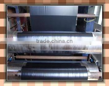 LDPE Builders Protective Film