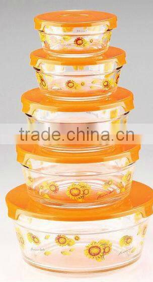 Glass Bowl Set for Food Storage