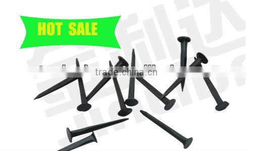 shoe nails in hardware