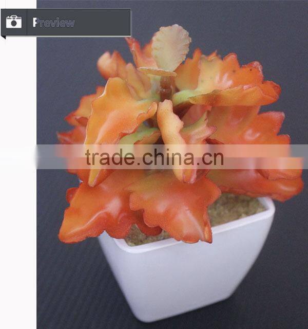 Cheap wholesale artificial succulent plants tropical plants