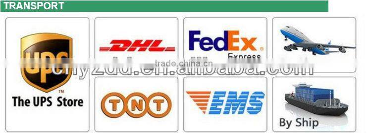 stuffed plush bear teddy