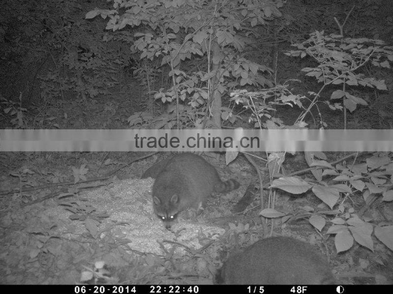 Wholesale gprs hunting camera 3g hunting camera