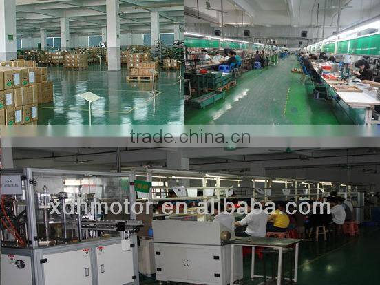 Precious Metal Brush 12v dc Motor,6v dc micro motor