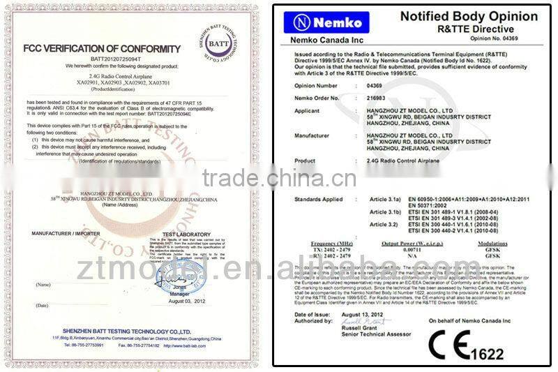 My Aero 2.4G RTF Beginner RC Airplane Sales