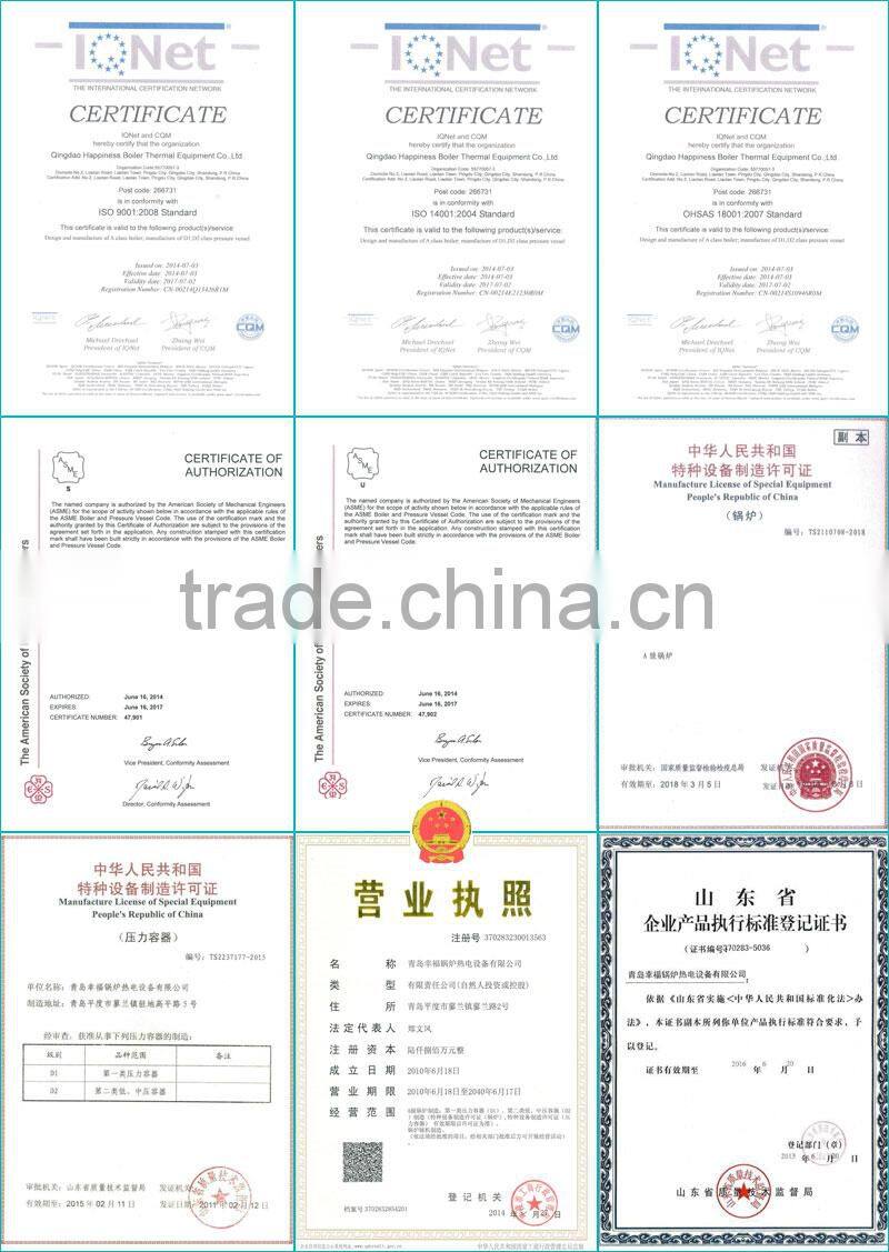 6, 8, 10, 12, 15, 20, 25 ton Industrial biomass steam boiler