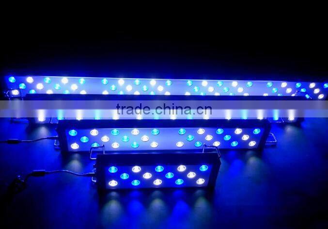 Hot sale 1000w full spectrum led grow lights for hemp grow and bloom