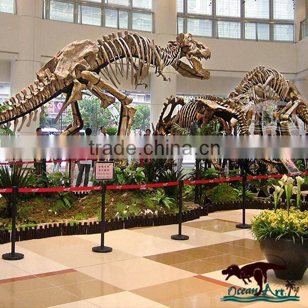 OA6177 Museum Exhibition Dinosaur Skeleton Replicas Model