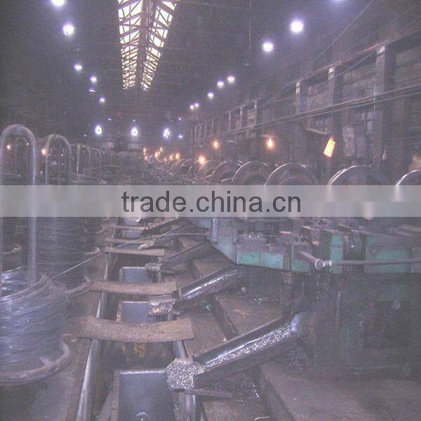 Common iron wire nails