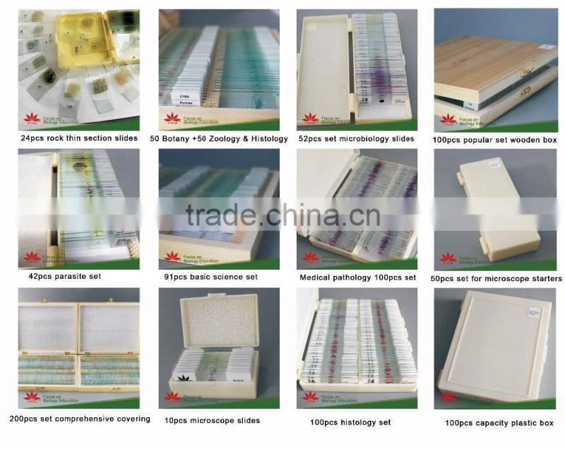 Direct factory individual bacteria microbiology prepared microscope slides