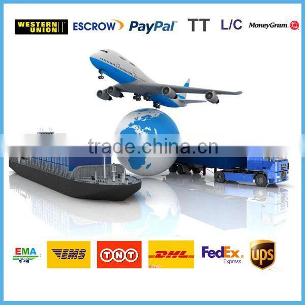 HYZ-80G GPS Fishing Bait Boat For Sale