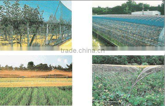 Bird Netting for agricultural