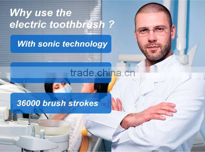 wholesalers china ningbo factory direct sale mini electric toothbrush china