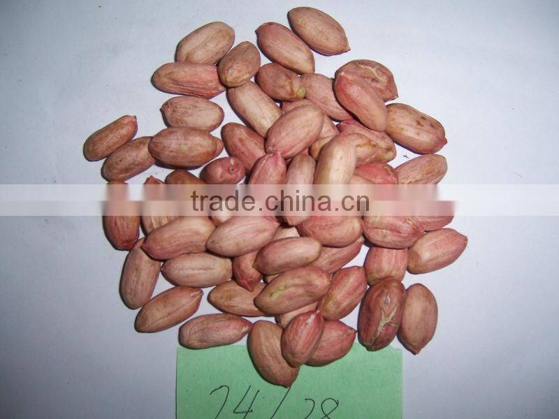 Shandong Peanut Price