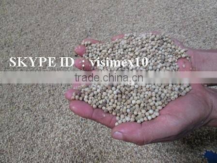 WHITE PEPPER 600 G/L FROM VIETNAM