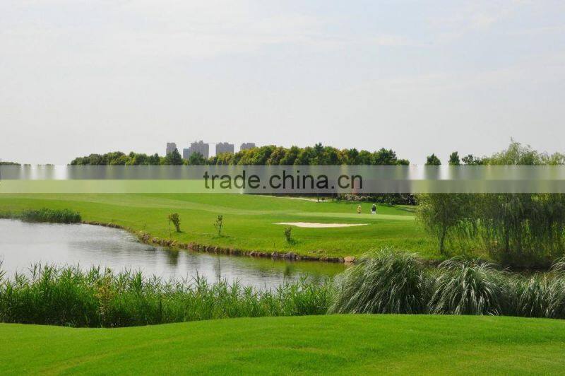 High Water Holding Capacity Natural Zeolite for golf course and turf