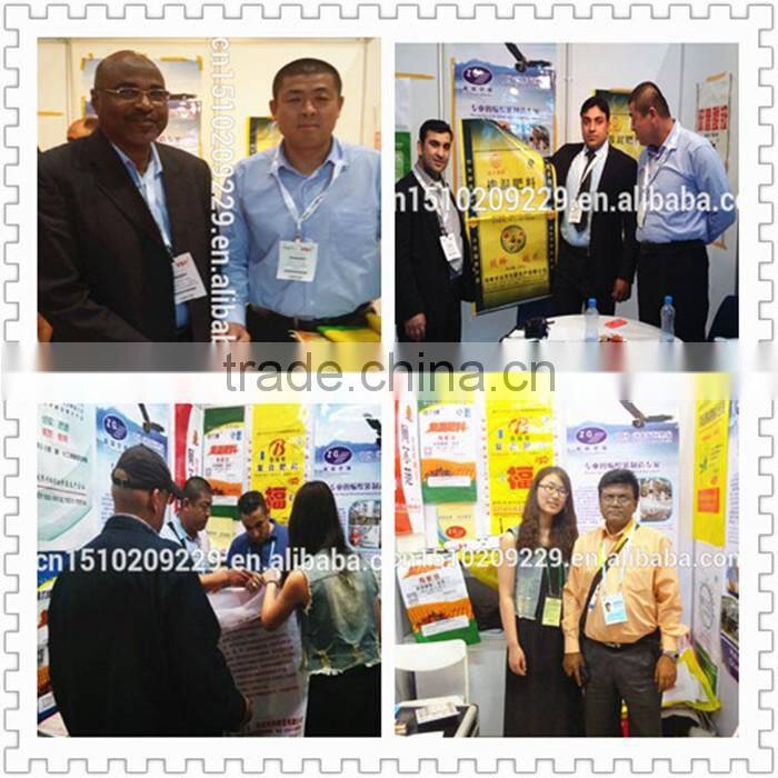 two layer silage pe bag