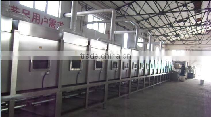 Wide Belt tunnel micro making fruits and vegetables vacuum drying machines