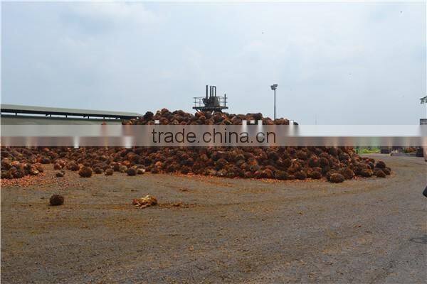 The good palm oil extraction mahcine and palm oil processing machine for palm oil production line