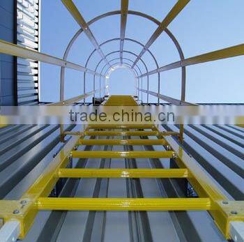 Corrosion resistance frp caged ladder