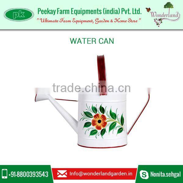 Wholesale Hand Painted Water Can from Best Brand Company
