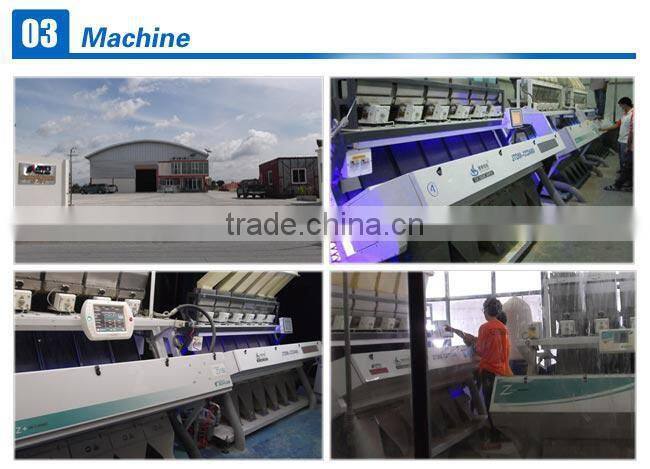 Special Design Toshiba CCD Sensor Beans Color Sorter for Grain Processing