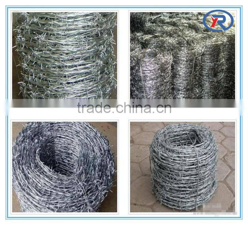 China hot dipped galvanized barbed wire fencing