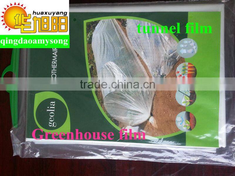 PE agricultural plastic Greenhouses film kit tunnel for vegetable used in garden