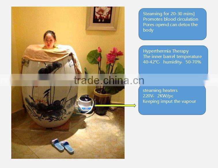 Hyperthermia Therapy anion and far infrared full body steam barrel