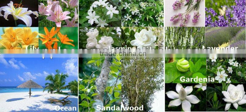 Sola Flower Room Air Freshener Diffuser